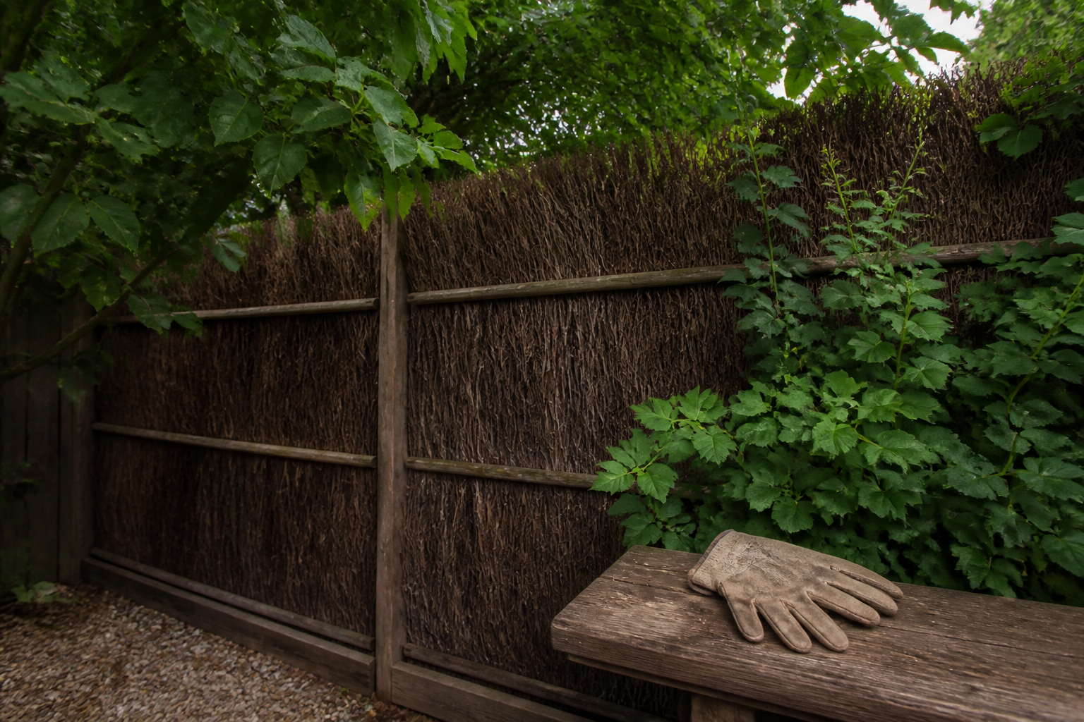 Comment installer un brise-vue sans dénaturer le jardin