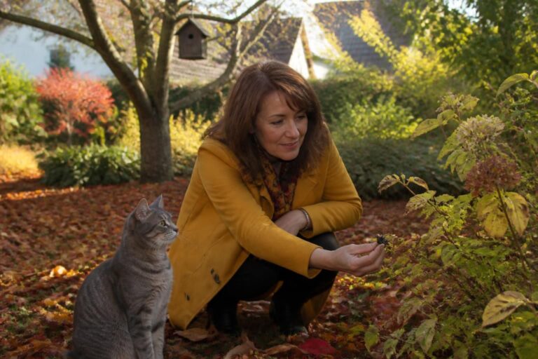 automne : soyez vigilant face à l'arrivée des frelons asiatiques, une période à risque nécessitant une attention particulière pour protéger votre environnement et votre sécurité.