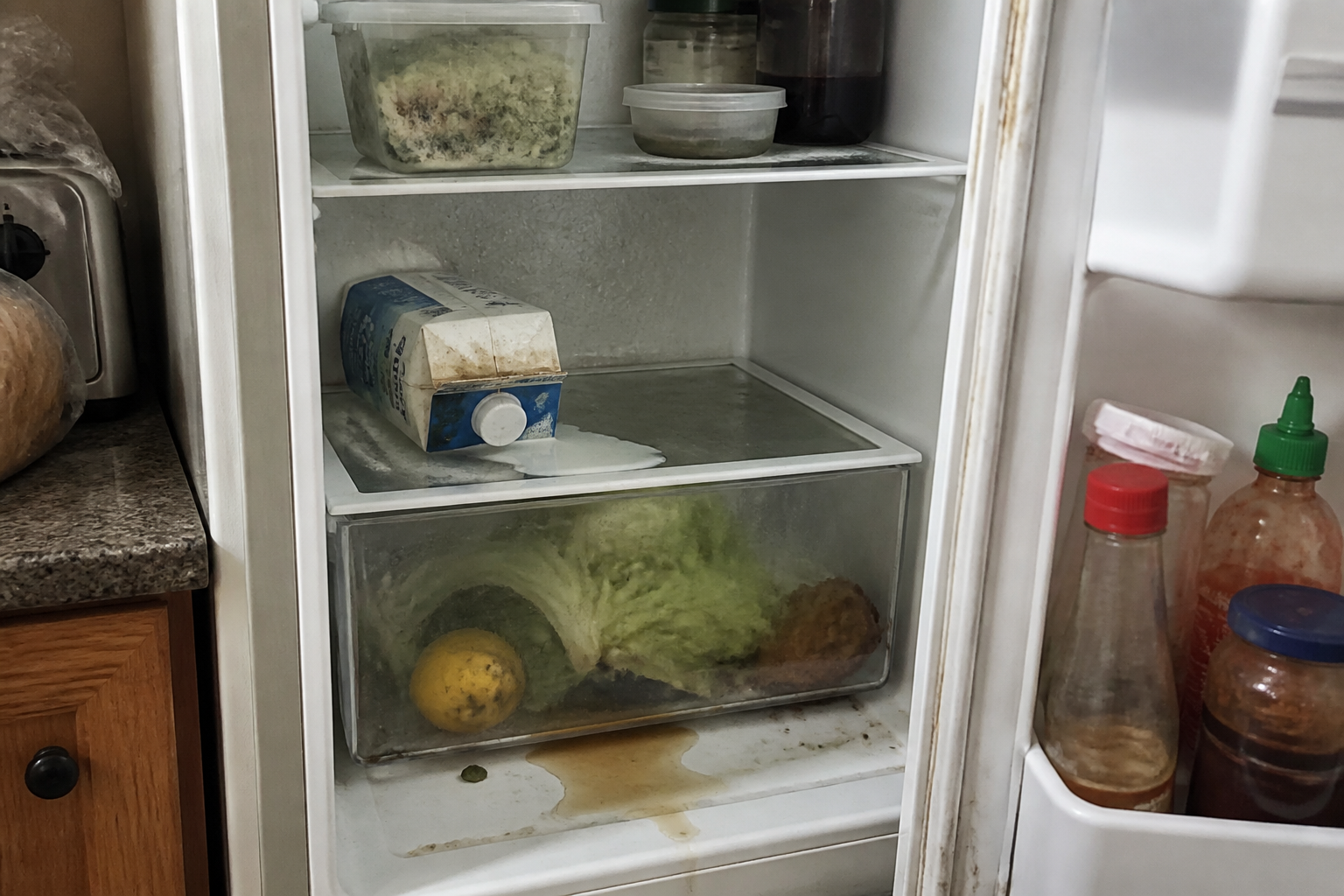 Frigo qui sent mauvais : causes et solutions simples